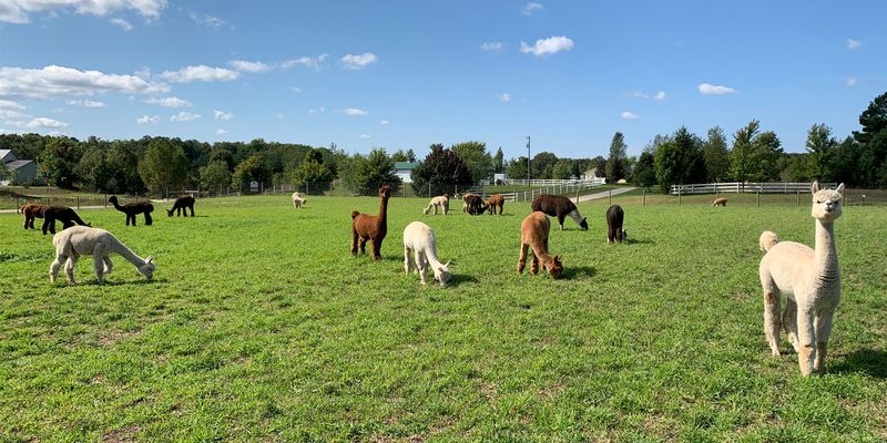 Where the Farm Actually Is and How to Find It