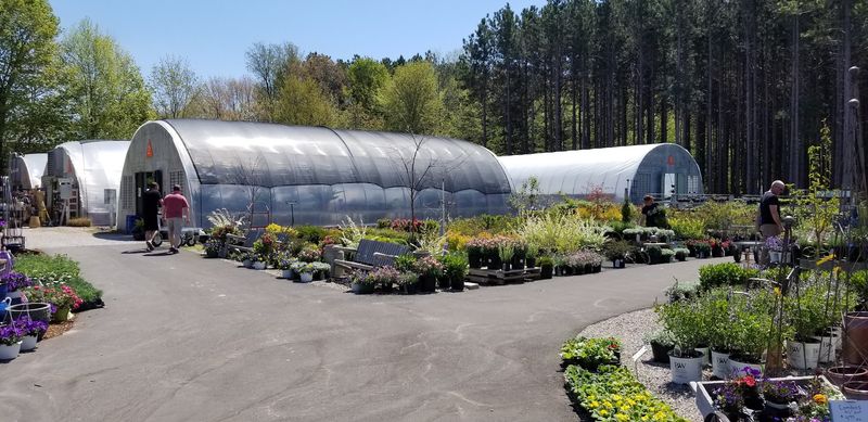 Where You Will Find It and Why the Location Matters