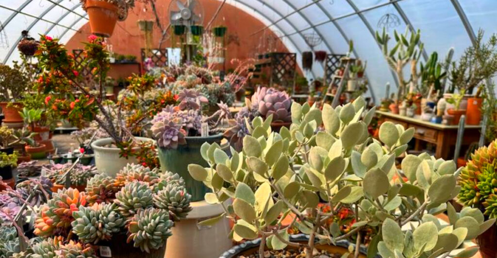 This Northern Michigan Stop Has a Butterfly Garden, Antique Barn, and U-Pick Flowers All in One