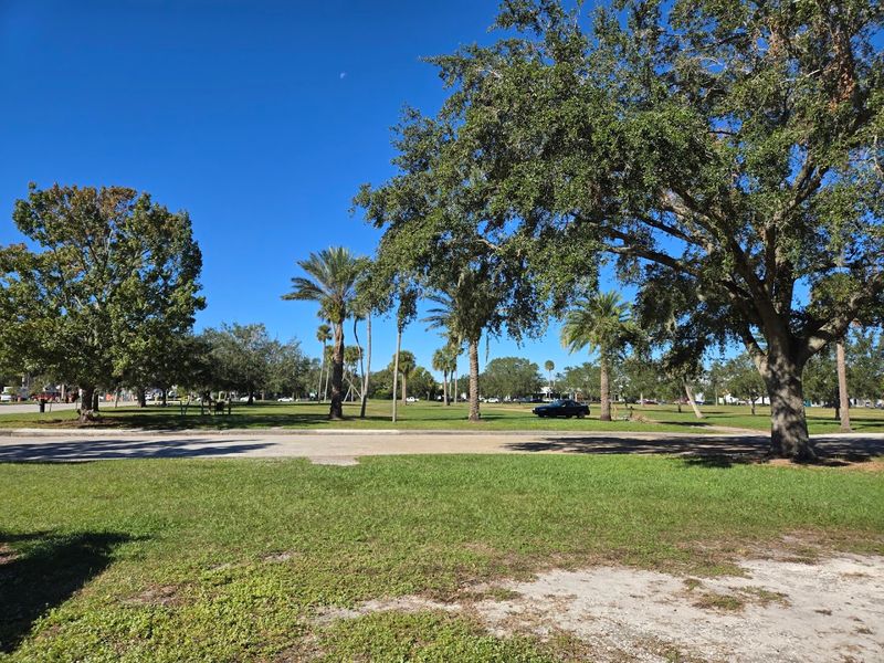 Where to Find Festival Park and What to Expect