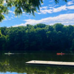 This Peaceful Ann Arbor Park Feels Miles From the City – With River Trails, Wildlife, and Quiet Views