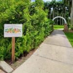 This Peaceful Bradenton Park Is a Hidden Oasis of Tropical Plants and Garden Paths