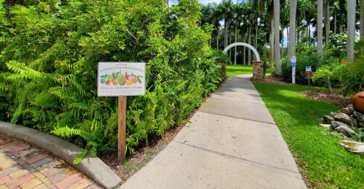 This Peaceful Bradenton Park Is a Hidden Oasis of Tropical Plants and Garden Paths