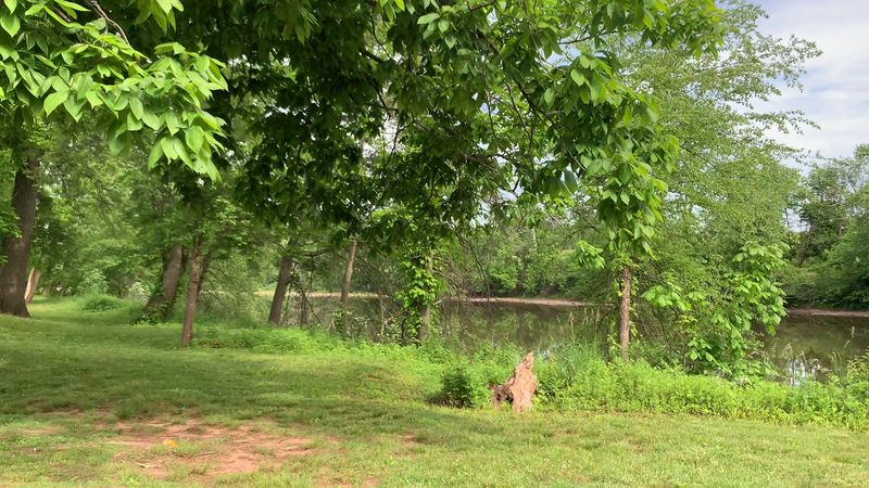 Where to Find This Hidden Green Space