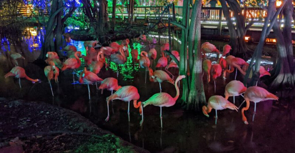 This Peaceful Miami Beach Garden Feels Like a Hidden Slice of Japan