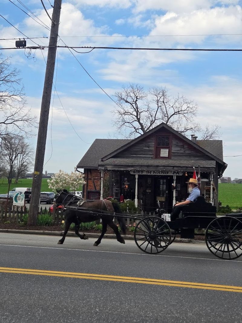 Finding the Market: Address, Location, and First Impressions