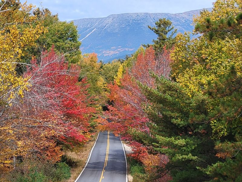 Where Exactly You Will Find This Wild Place