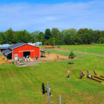 This Popular Michigan Farm Feels Like a Fall Festival – With Apple Picking, Donuts, and a Giant Corn Maze