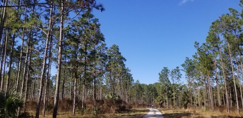 Where the Adventure Begins: Location and Access