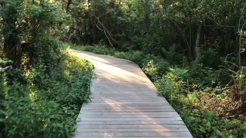 Finding the Trailhead: Location and Access