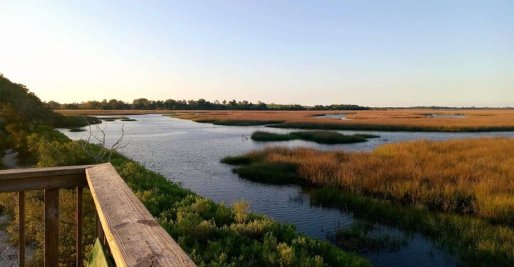 This Quiet Jacksonville Trail Leads You to a Peaceful Hidden Pond