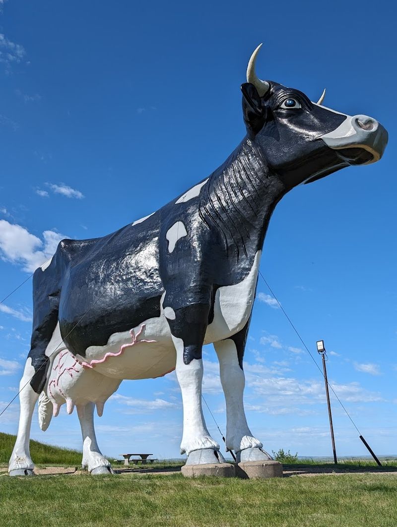 Meet Salem Sue: The World's Largest Holstein Cow