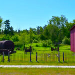 This Restored Historic Village Near Sleeping Bear Dunes Offers a Glimpse Into Michigan’s Maritime Past