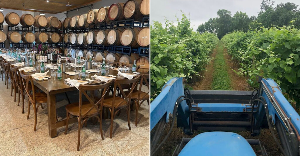 This Rustic New Jersey Winery Turns a Simple Tasting Into an All-Day Experience
