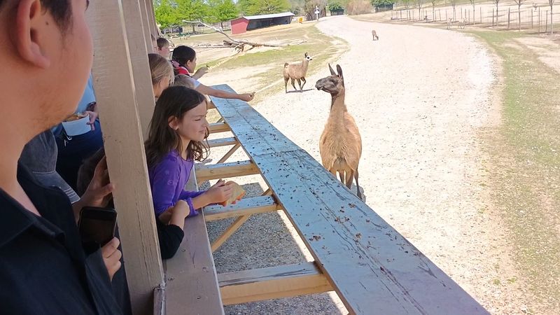 The Park Itself: Location, Layout, and First Impressions