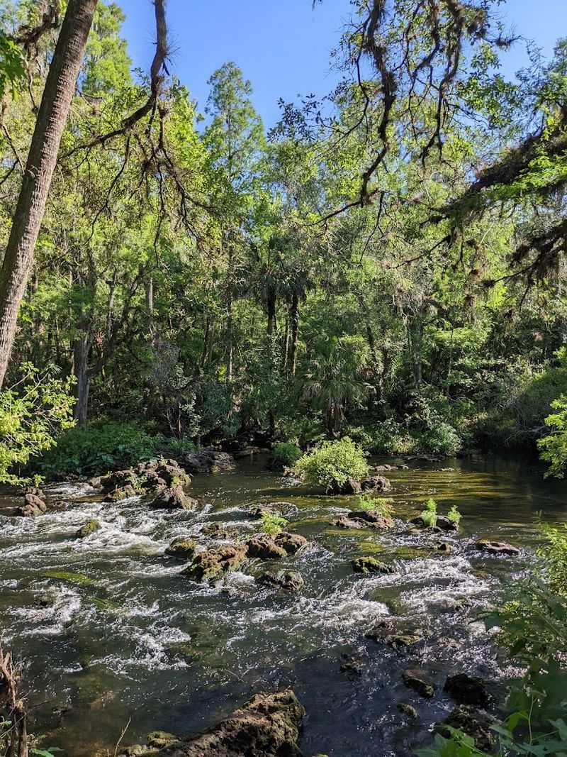 A Historic Park With Deep Florida Roots
