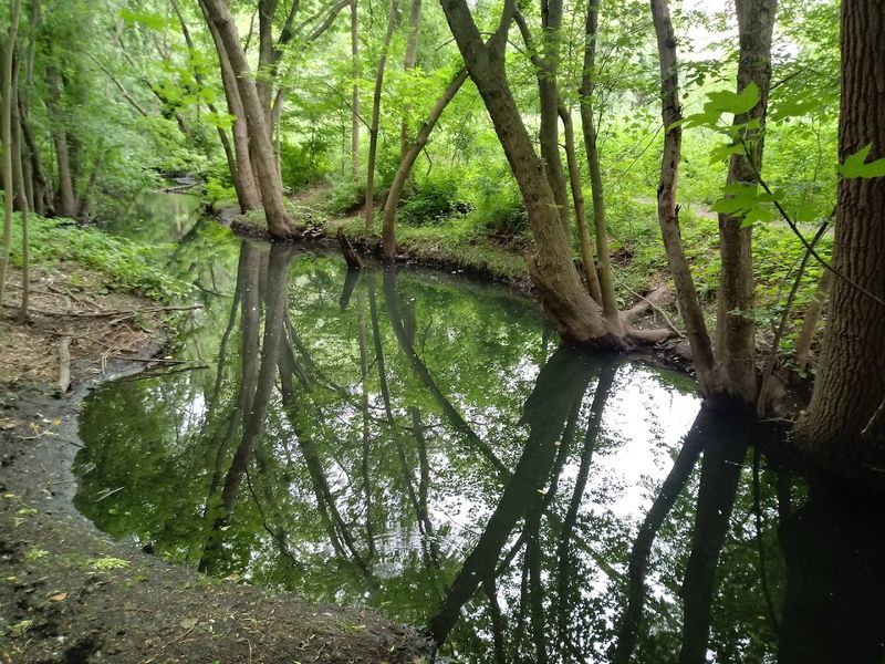 Where Exactly This Hidden Conservancy Sits