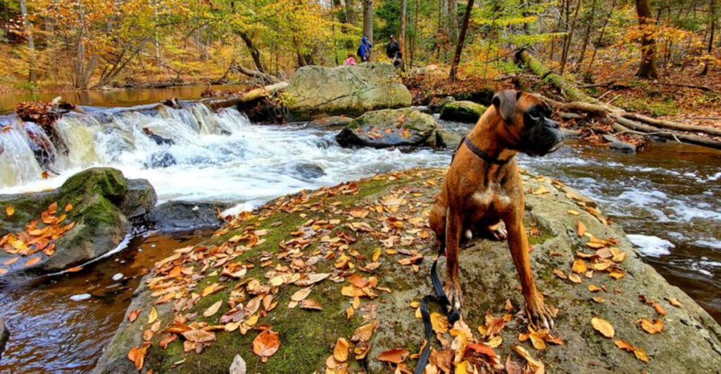 This Scenic New Jersey Park Was Once an Iron Ore Mining Site