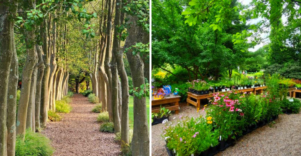 This Secret Garden in Kentucky Explodes With Color Every Spring