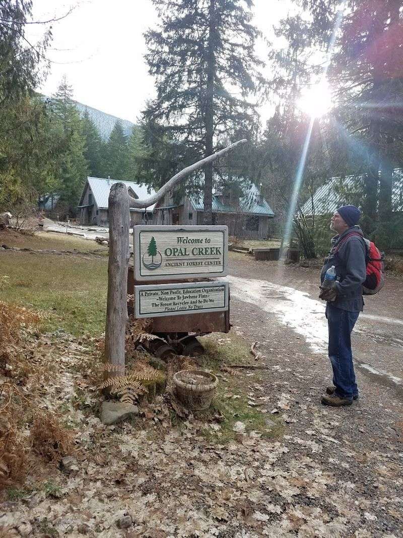 Getting There: The Road to Opal Creek Wilderness