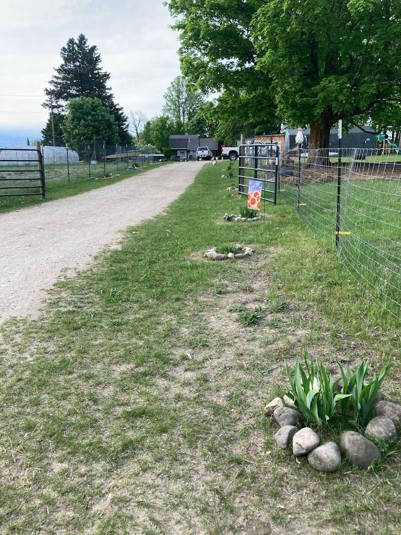 Where to Find This Hidden Northern Michigan Farm