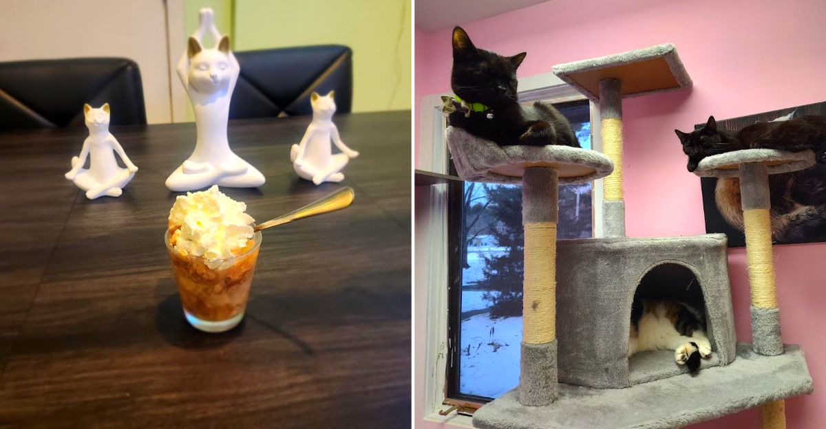This Small-Town Michigan Cat Café Has 30 Friendly Cats – and You Can Stay All Day With a Drink