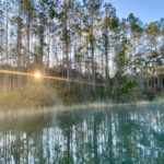 This Sorrento Trailhead Leads to a Hidden Bear Pond and Some of the Most Peaceful Forest Hikes in Florida