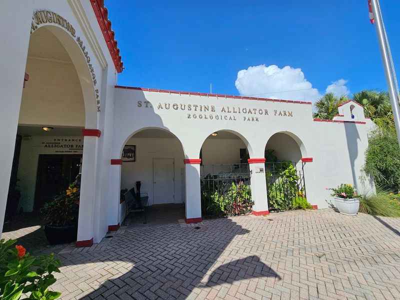 A Century-Old Landmark Right on Anastasia Boulevard