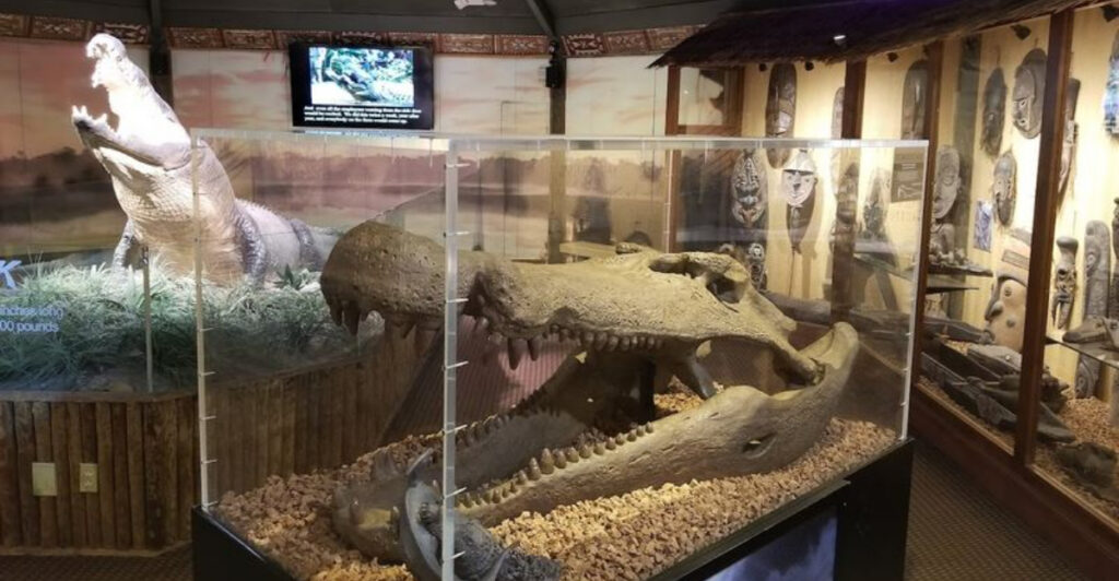 This St. Augustine Wildlife Park Lets You Get Face-to-Face with Alligators and Creatures from Around the World