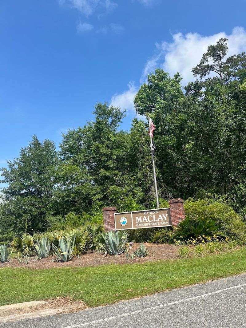 Finding the Park: Address, Location, and First Impressions