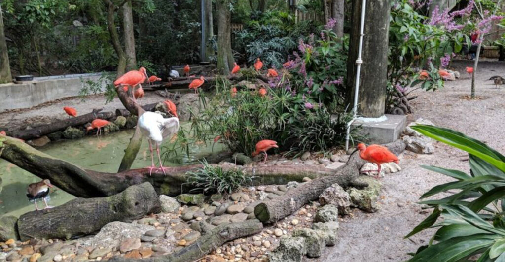 This Tampa Zoo Is One of Florida’s Best Spots for Up-Close Animal Encounters