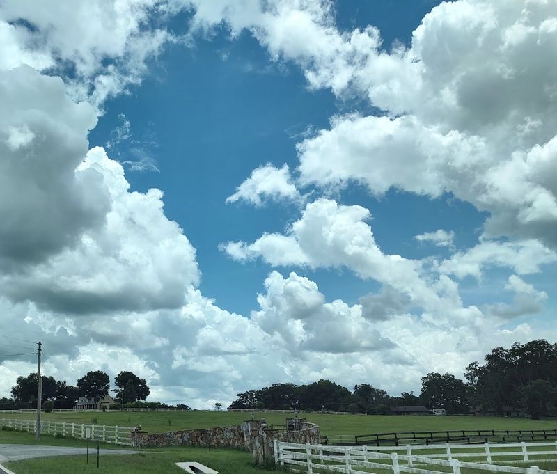 Welcome to Brooksville, Florida