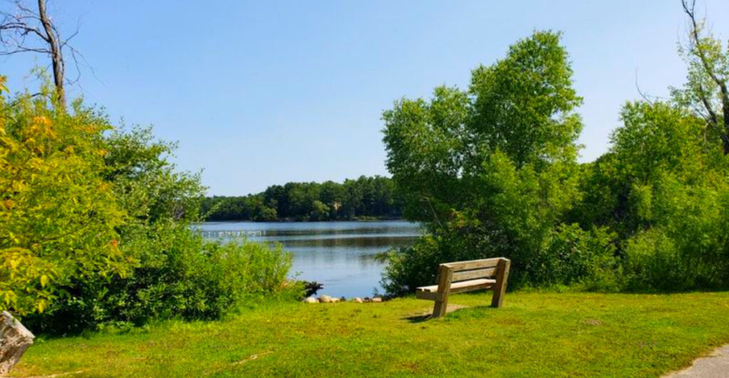 This Traverse City Trail Is a 4-Mile Loop With Lake Views, Wooden Bridges, and Swan Sightings