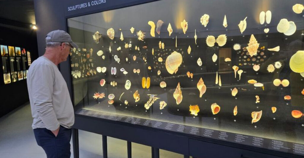 This Unique Sanibel Island Museum Offers Guided Shelling Walks with Real Marine Biologists