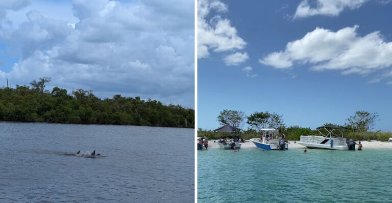This Untouched Florida Barrier Island Has Wild Dolphins and Not a Single Paved Road