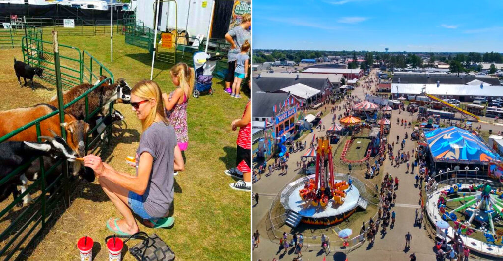 This Upper Peninsula Fair Has Carnival Rides, Baby Animals, and One of Michigan’s Biggest Summer Traditions