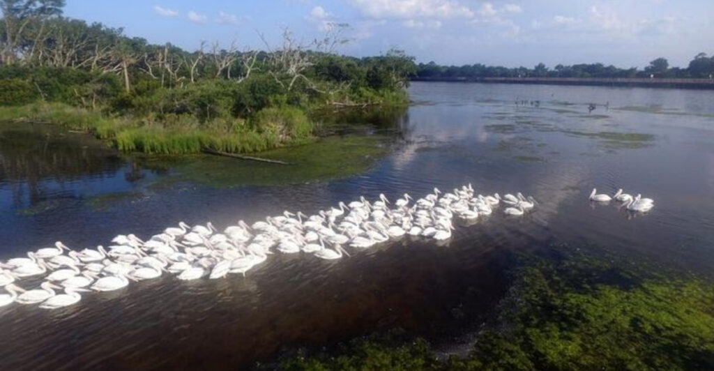 This Vast Jacksonville Preserve Hides Untouched Nature, Ancient History, and Scenic Coastal Views