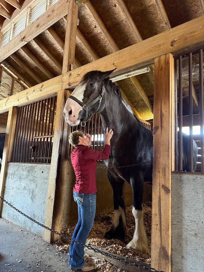 Practical Details for Planning Your Visit