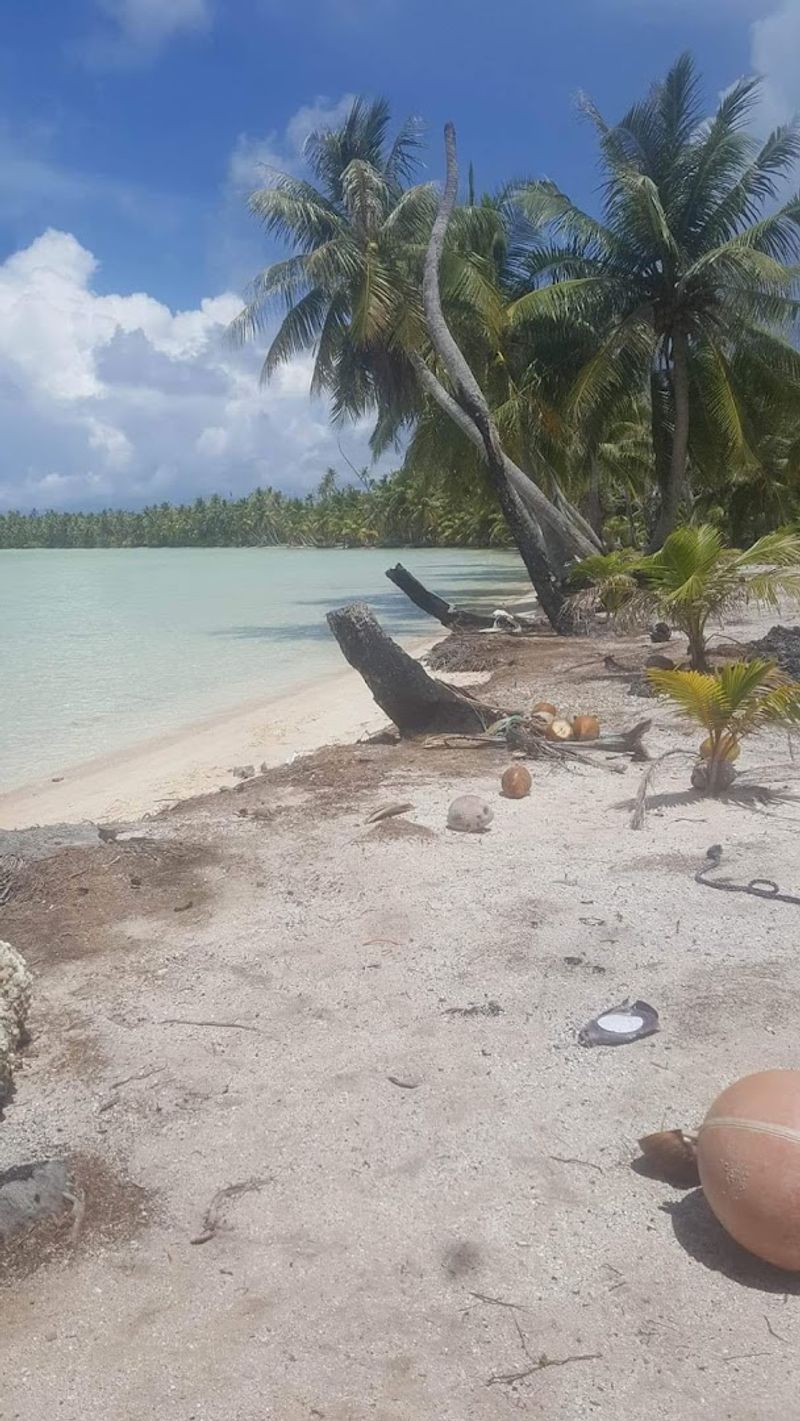 Life Comes With Real Risks