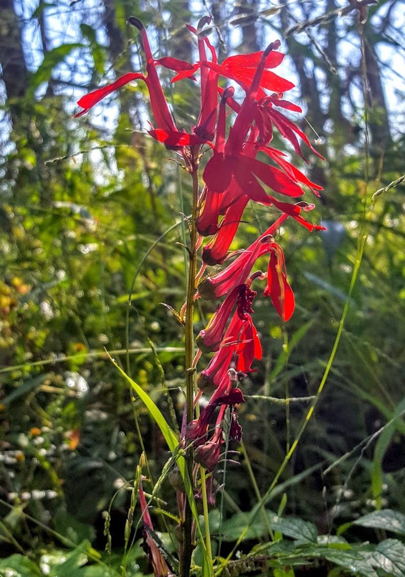 What the Hike to the Beach Actually Feels Like