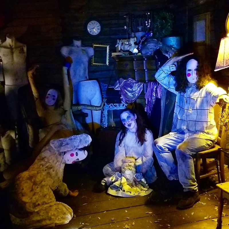 Amee's Apparel: The Wildcard of the Night