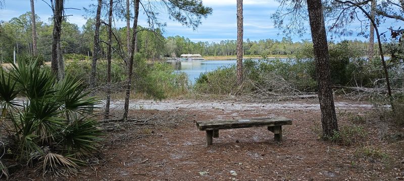 Best Times to Visit the Trailhead