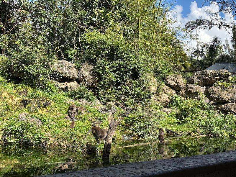 Best Time to Arrive and How Long to Plan For