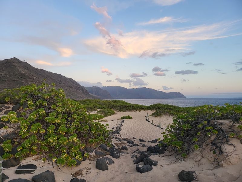 Best Times to Visit and Weather Tips