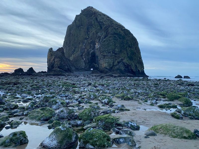 The Haystack Rock Awareness Program: Volunteers Who Make It Better