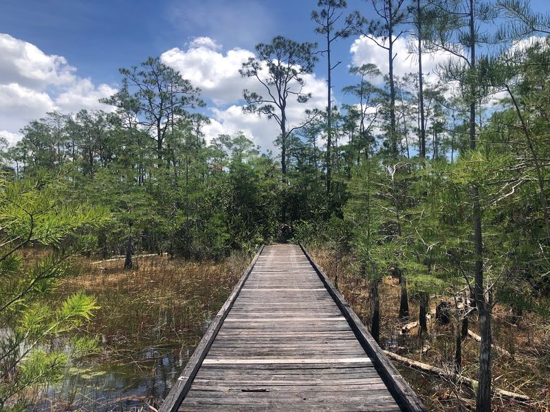 Apoxee Wilderness Trail (West Palm Beach outskirts)