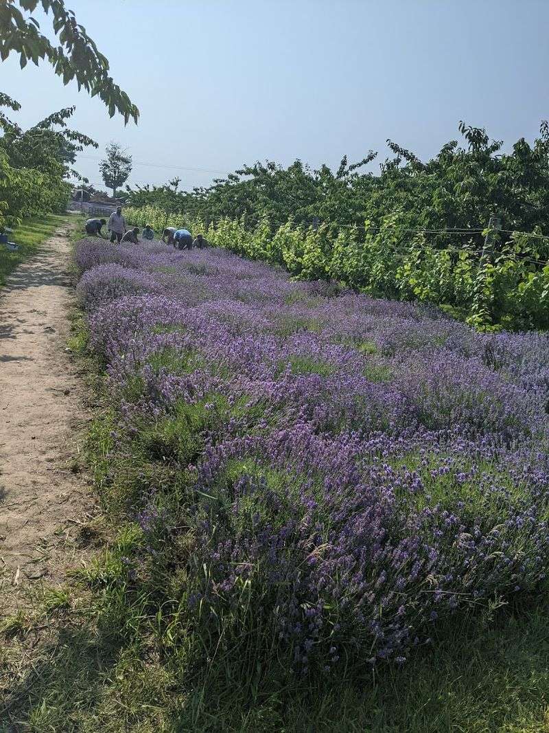 Picnic Tables, Quiet Corners, And One Last Look