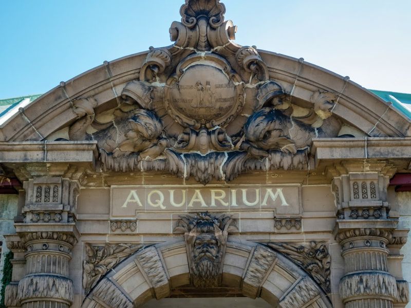 Neptune Keeps Watch at the Door