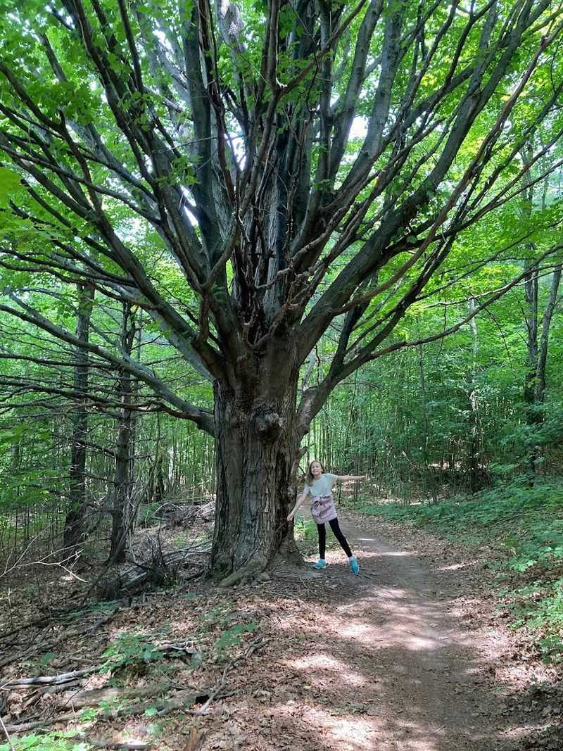 A Local Effort With Real Staying Power