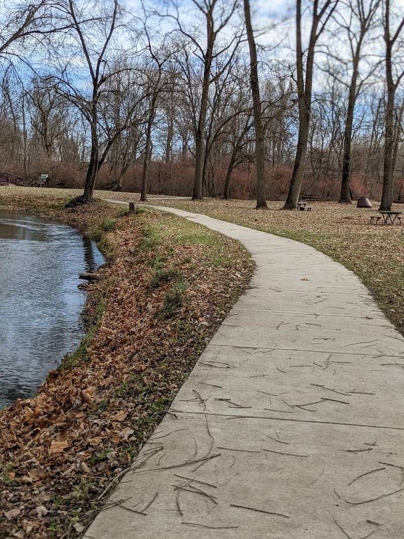 Leashed Dogs and Good Trail Manners
